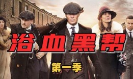 浴血黑帮第一季在线观看,黑帮风云，浴血奋战