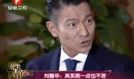 天涯真实爆料刘德华视频,揭秘娱乐圈背后的真实一面